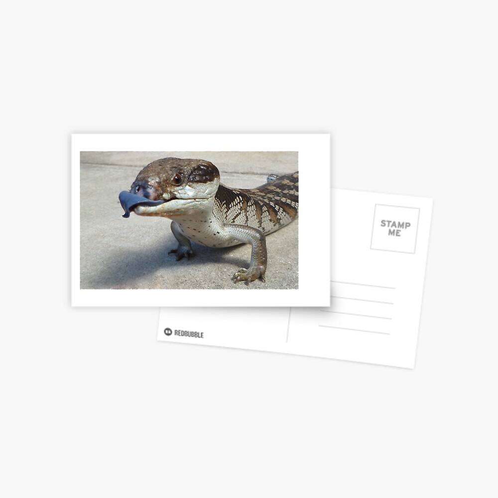 Item preview, Postcard designed and sold by rom01.
