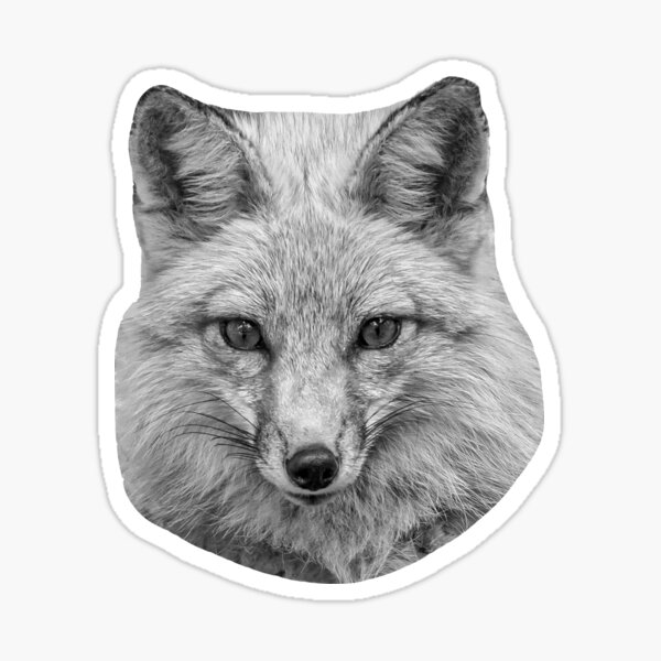 Item preview, Black and White American red fox designed and sold by OwlOccasions.