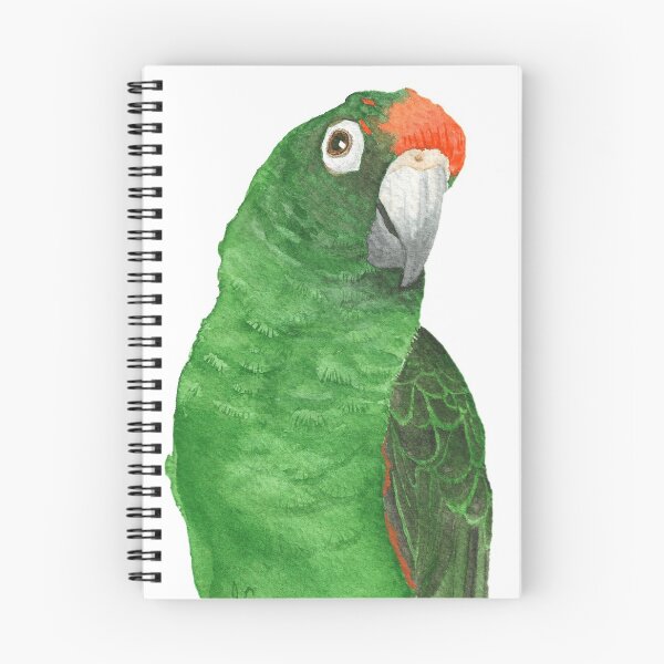 Item preview, jardine's parrot watercolor - bird paint designed and sold by L'Atelier Oranjade.