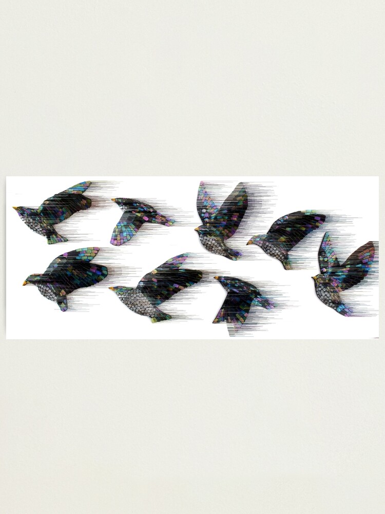 Thumbnail 1 of 3, Photographic Print, Starlings in the Wind designed and sold by KateRattray.