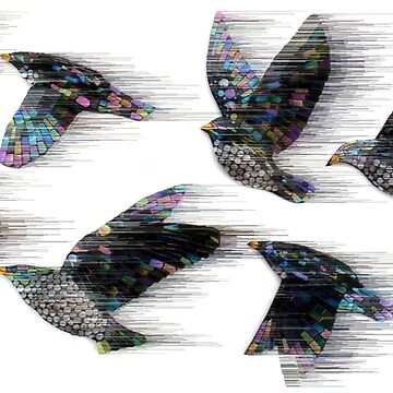 Artwork thumbnail, Starlings in the Wind by KateRattray