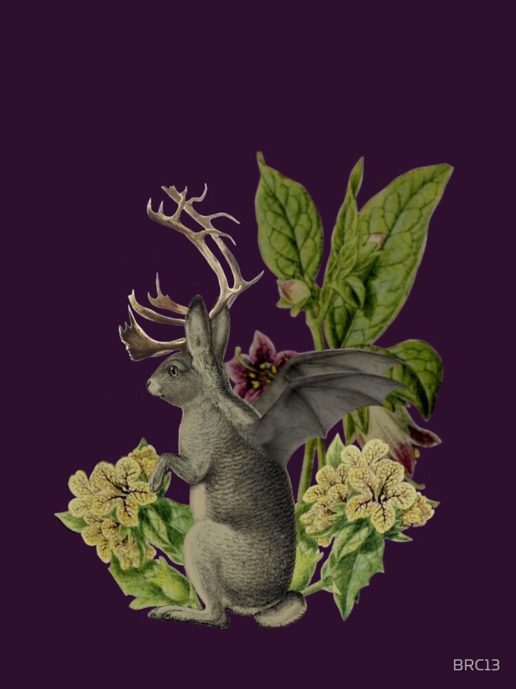 Jackalope Vespertilio (purple) by BRC13