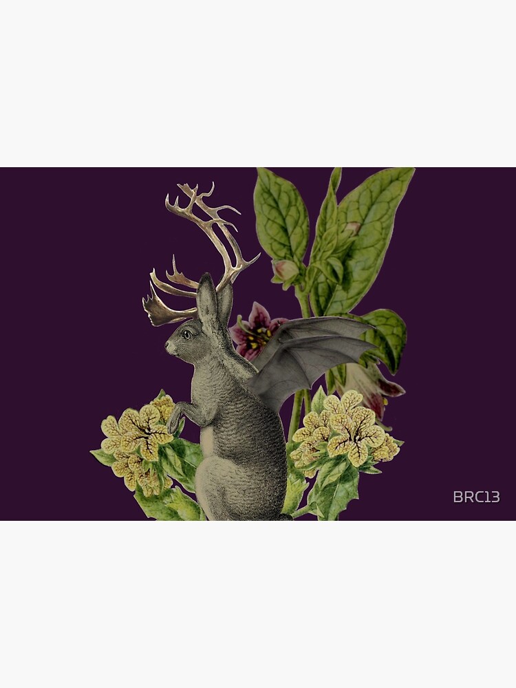 Jackalope Vespertilio (purple) by BRC13