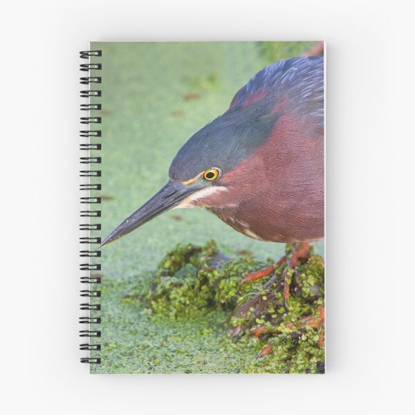 Item preview, Green Heron designed and sold by Gerard Fornarotto.
