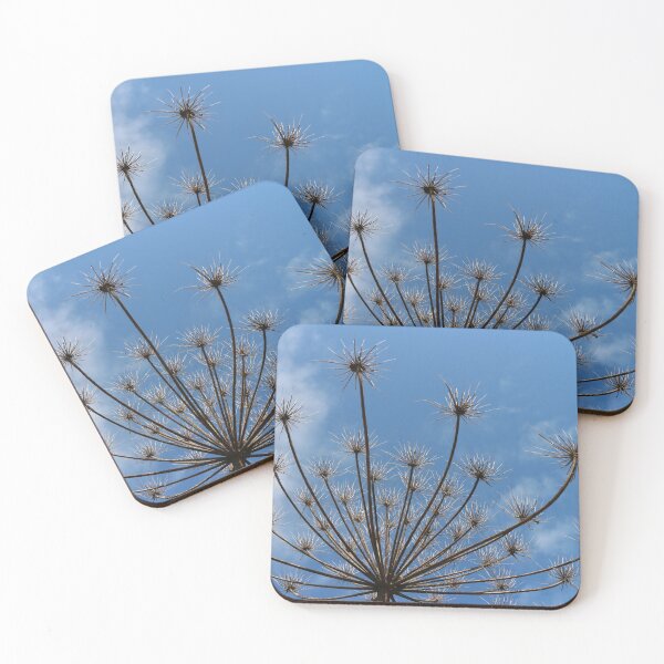 Item preview, dry inflorescences of hogweed designed and sold by mrivserg.