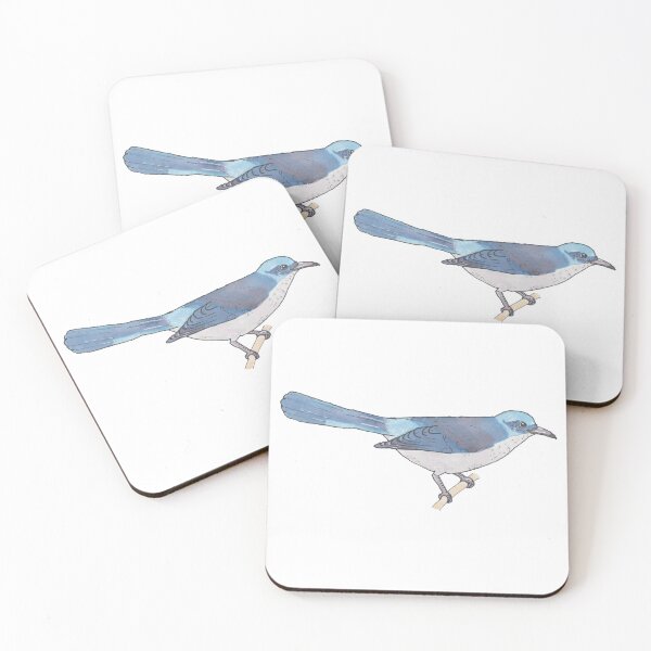 Item preview, California Scrub Jay bird species watercolor art designed and sold by TheWaterBirds.