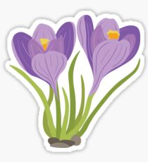 Crocus Sticker