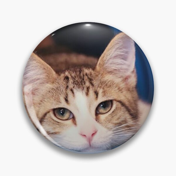 Item preview, Cat picture designed and sold by balajj.