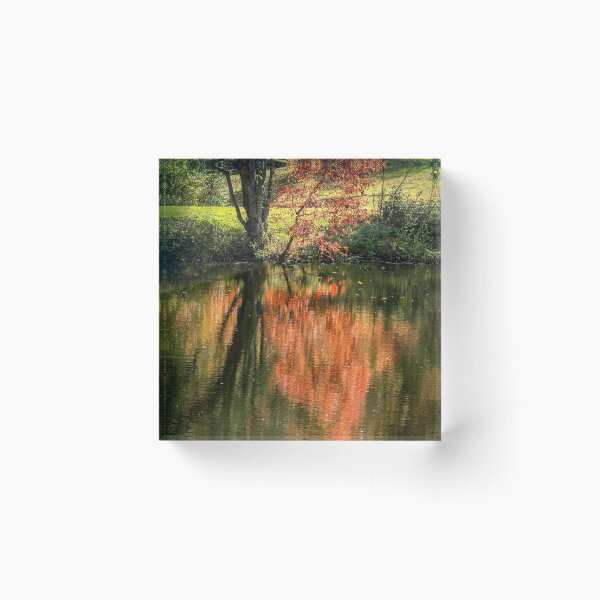 Item preview, Pat Lake with Red Tree designed and sold by LisaCook1.