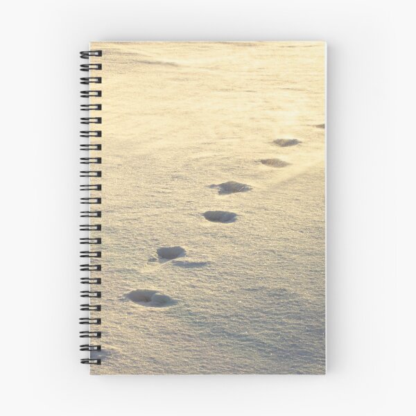 Item preview, Footprints In The Windswept Snow designed and sold by stephenralph.