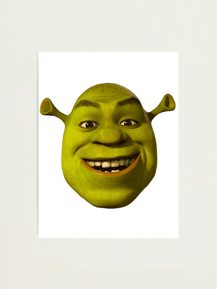 Shrek face : r/Shrek