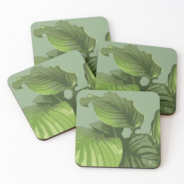 Item preview, calatheas / prayer plant graphic  designed and sold by darkbIue.