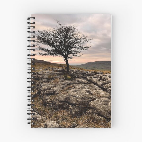 Item preview, Limestone pavement designed and sold by Alex johnson Landscape Photography.