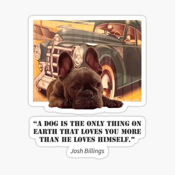 Buckó Frenchie / Famous Quotes About Dogs / Josh Billings Sticker
