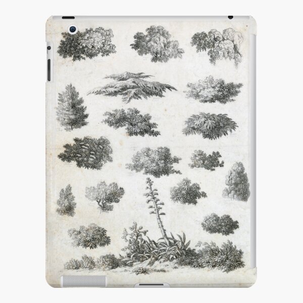 Vintage Foliage Studies Print iPad Snap Case