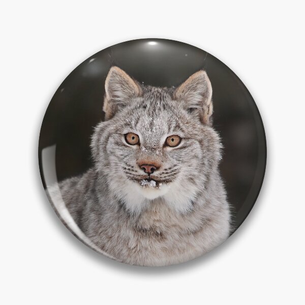 Artikelvorschau, Lynx posieren entworfen und verkauft von mlorenz.