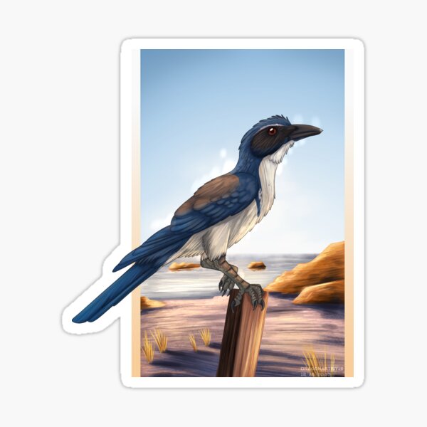 Item preview, Island scrub jay designed and sold by DragonArtist15.