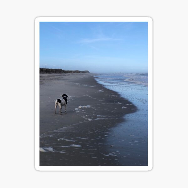 Bird Dog on The Beach II Sticker