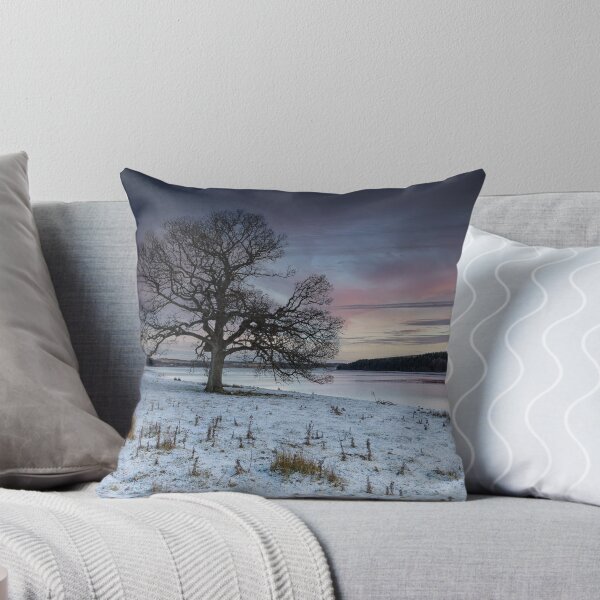 Aperçu de l'œuvre Derwent Reservoir Sunset créée et vendue par Reg-K-Atkinson.