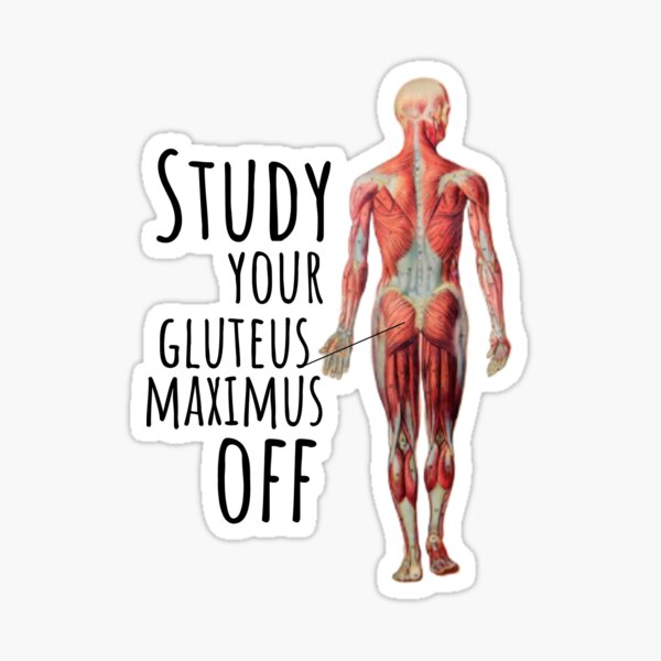 Item preview, Study Your Gluteus Maximus Off designed and sold by ProudNurse.
