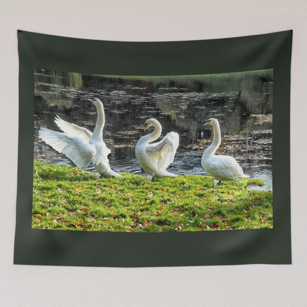 Item preview, Three White Swans art - Follow the Leader designed and sold by BarbaraGlebska.