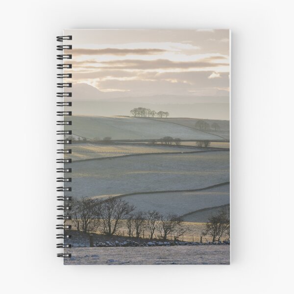 Item preview, Late Afternoon Shadows designed and sold by RedGrouse.