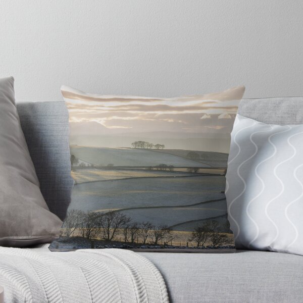 Item preview, Late Afternoon Shadows designed and sold by RedGrouse.