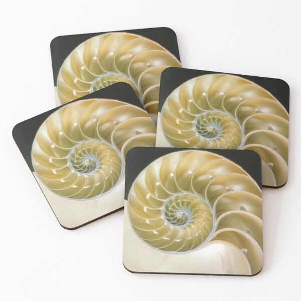 Item preview, Fibonacci Spiral Seashell designed and sold by LouBaas.