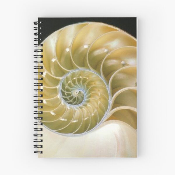 Item preview, Fibonacci Spiral Seashell designed and sold by LouBaas.