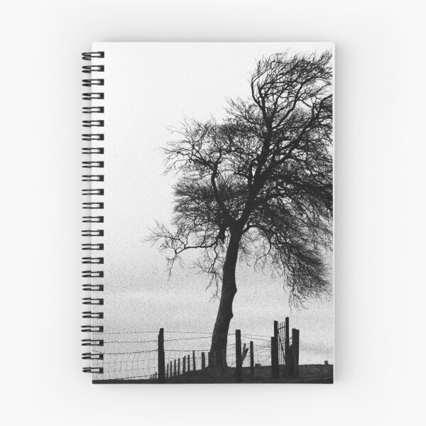 Item preview, That Naked Tree - Black & White Image of a Winter Tree Gothic Style. Sychdyn, Alltami designed and sold by FlorriesAngels.