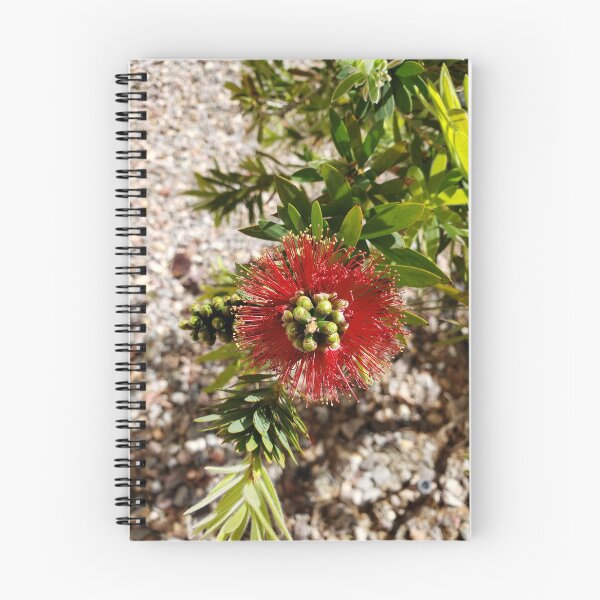 Item preview, Vegas Bottle Brush designed and sold by AndPeace702.