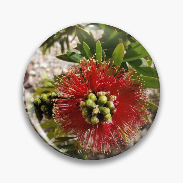Item preview, Vegas Bottle Brush designed and sold by AndPeace702.