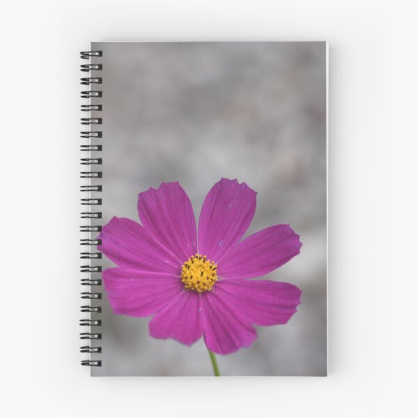 Item preview, Violet flowers designed and sold by CasparTheRiddle.