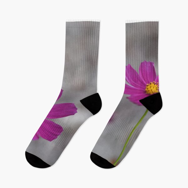 Item preview, Violet flowers designed and sold by CasparTheRiddle.