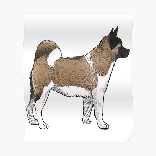 Akita Poster