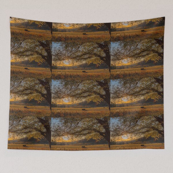 Item preview, USA. Pennsylvania. Valley Forge National Historical Park. Autumn. Sunset. designed and sold by vadim19.