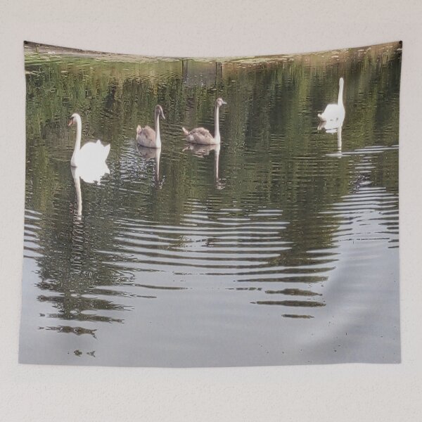 Item preview, Swans and signets in the pond designed and sold by Jacksonsmerch.