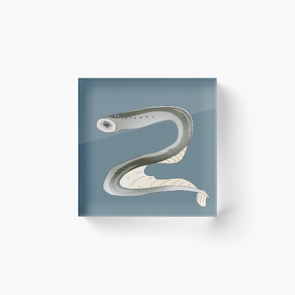 Item preview, Lamprey fish designed and sold by NatureNature.
