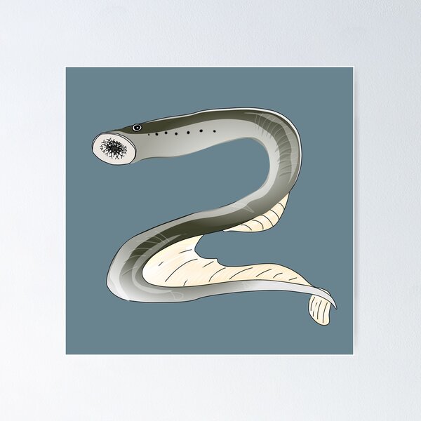 Item preview, Lamprey fish designed and sold by NatureNature.