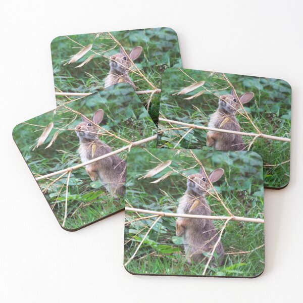 Item preview, Checking out the bamboo designed and sold by VeganBear.
