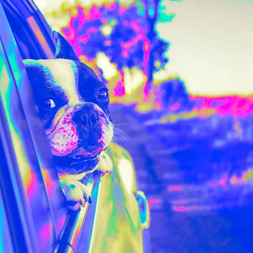 Artwork thumbnail, Car Ride by PhillipAndCarl