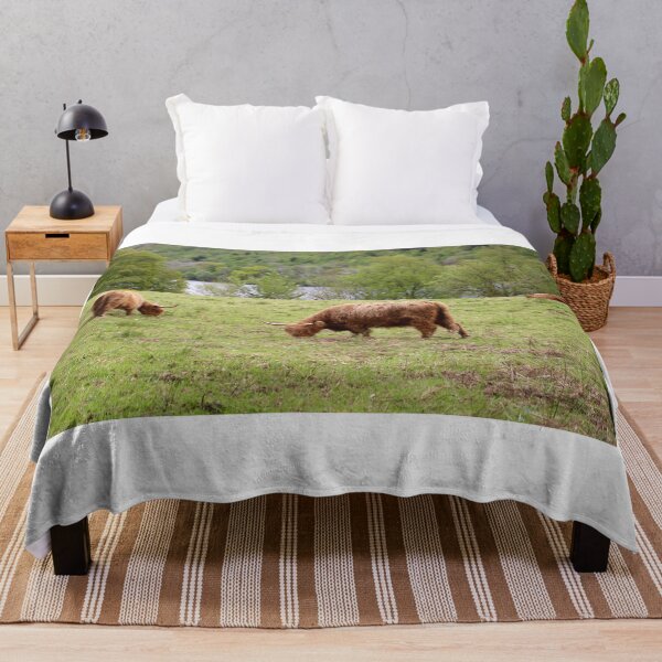 Item preview, Scottish Highland Cow designed and sold by cgalda.