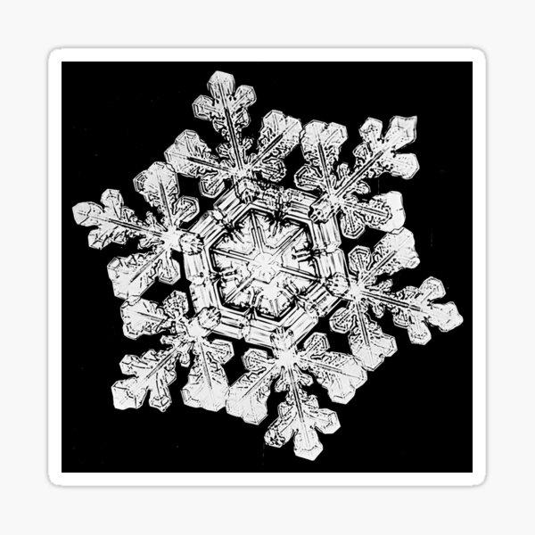 Item preview, Wilson A. Bentley - Snowflake (1880s) designed and sold by RiskyTrizkit.