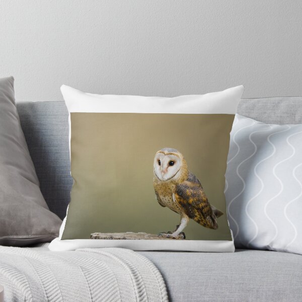 Item preview, OWL CUSHION MASK T-SHIRT designed and sold by Axel20.