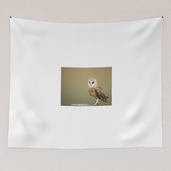 Item preview, OWL CUSHION MASK T-SHIRT designed and sold by Axel20.