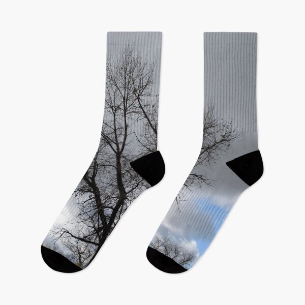 Item preview, Beautiful fall season photography designed and sold by Ventures1.