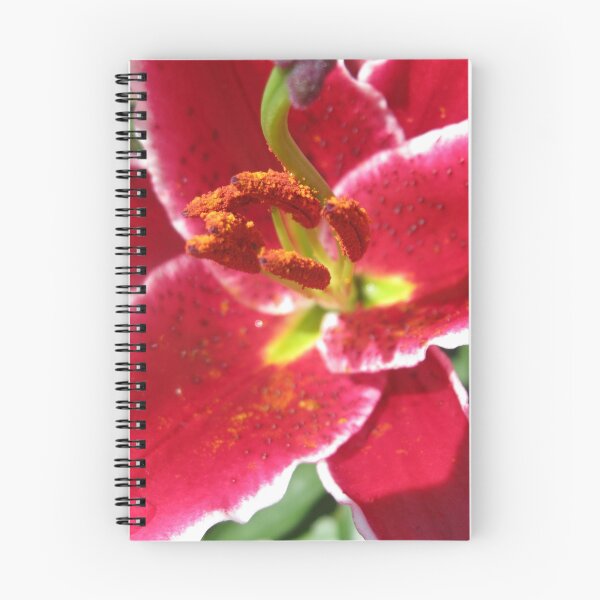 Item preview, Flamboyant Lily Anthers - Macro Untouched designed and sold by Kathryn Jones.