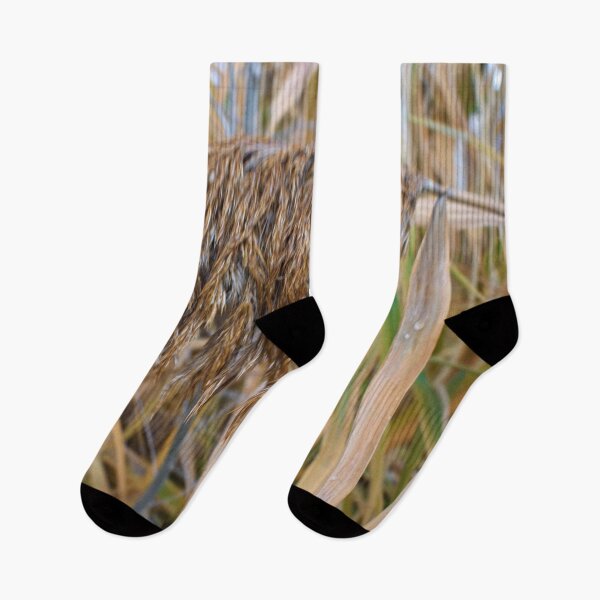 Item preview, Beautiful fall season photography designed and sold by Ventures1.