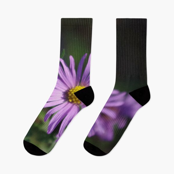 Item preview, Lovely lavender aster designed and sold by rvjames.