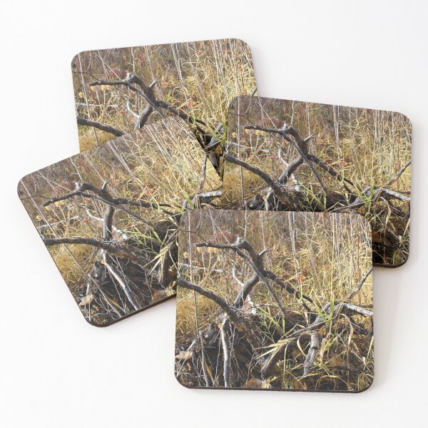 Item preview, Beautiful fall season photography designed and sold by Ventures1.